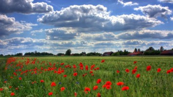 As Sayyid Ul Istighfâr - La meilleure demande de pardon (Hadith Authentique) As Sayyid Ul Istighfâr - La meilleure demande de pardon (Hadith Authentique)